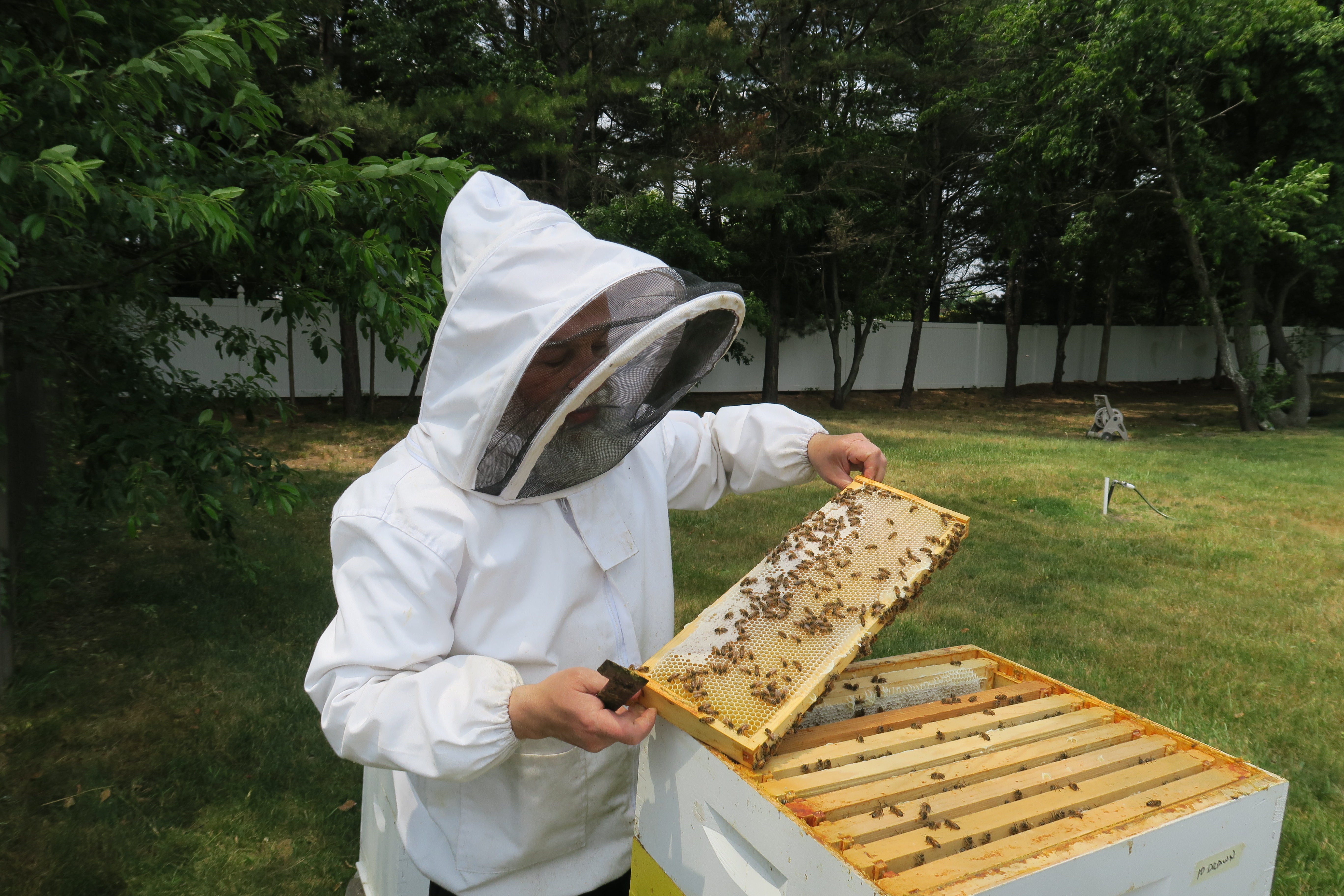 Donna Bee Honey | Raw Local Honey | Toms River, NJ