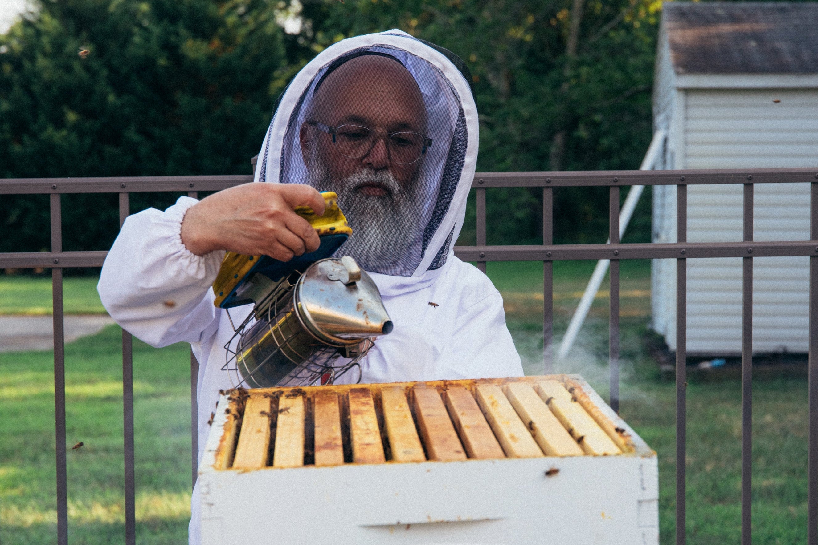 Donna Bee Honey | Raw Local Honey | Toms River, NJ