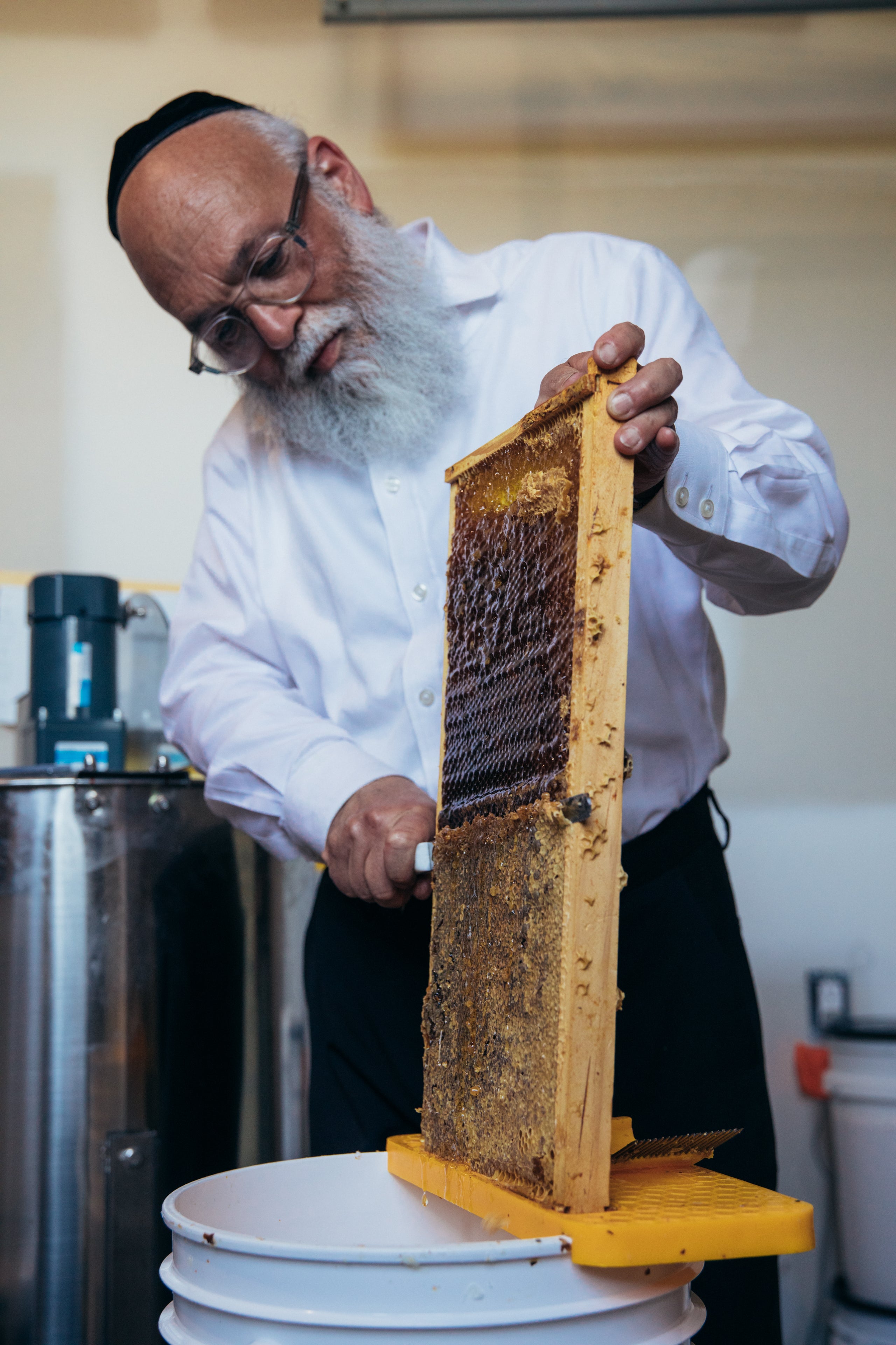 Donna Bee Honey | Raw Local Honey | Toms River, NJ